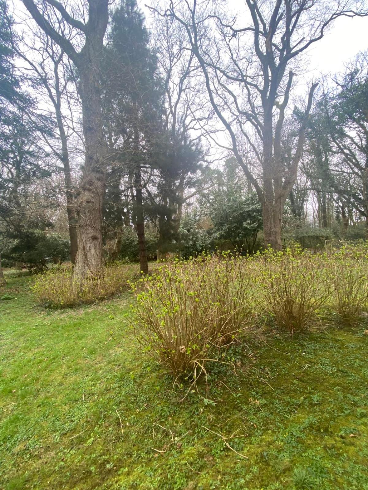 Bg32 - Mer & Bois De Cise Maison Individuelle Avec Grand Jardin Ault Exterior photo